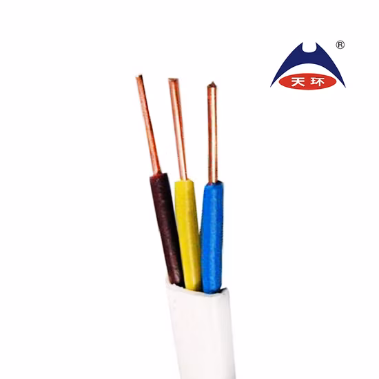 Fil électrique Fil BV Fil BVV Fil unique Câble unique Câble d'alimentation RV Câble Rvv Câble flexible en cuivre Fil électrique
