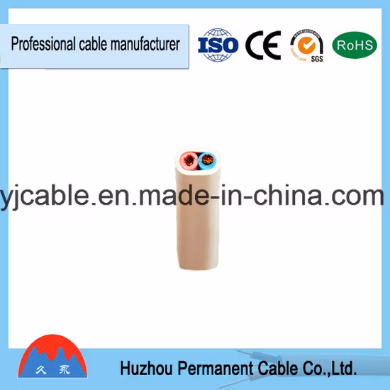 Câble BV/BVV/Bvr/Rvv/Rvvb à usage intérieur et extérieur sur le fil électrique/fil de construction