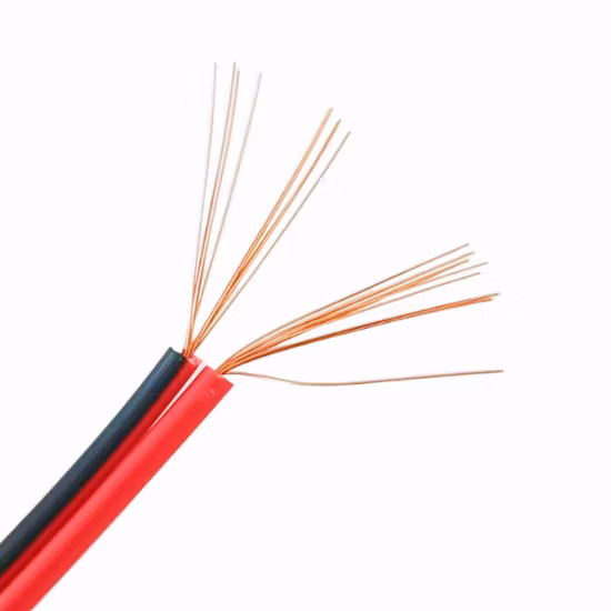 Fil de câble de haut-parleur 2x4,0 mm, en cuivre CCA, pour haut-parleur Audio de voiture